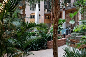 Escape to a serene oasis amidst lush tropical plants and palm trees in our tranquil indoor garden.