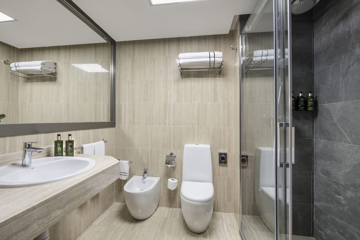 Combined shower/bathtub, eco-friendly toiletries, hair dryer, bathrobes