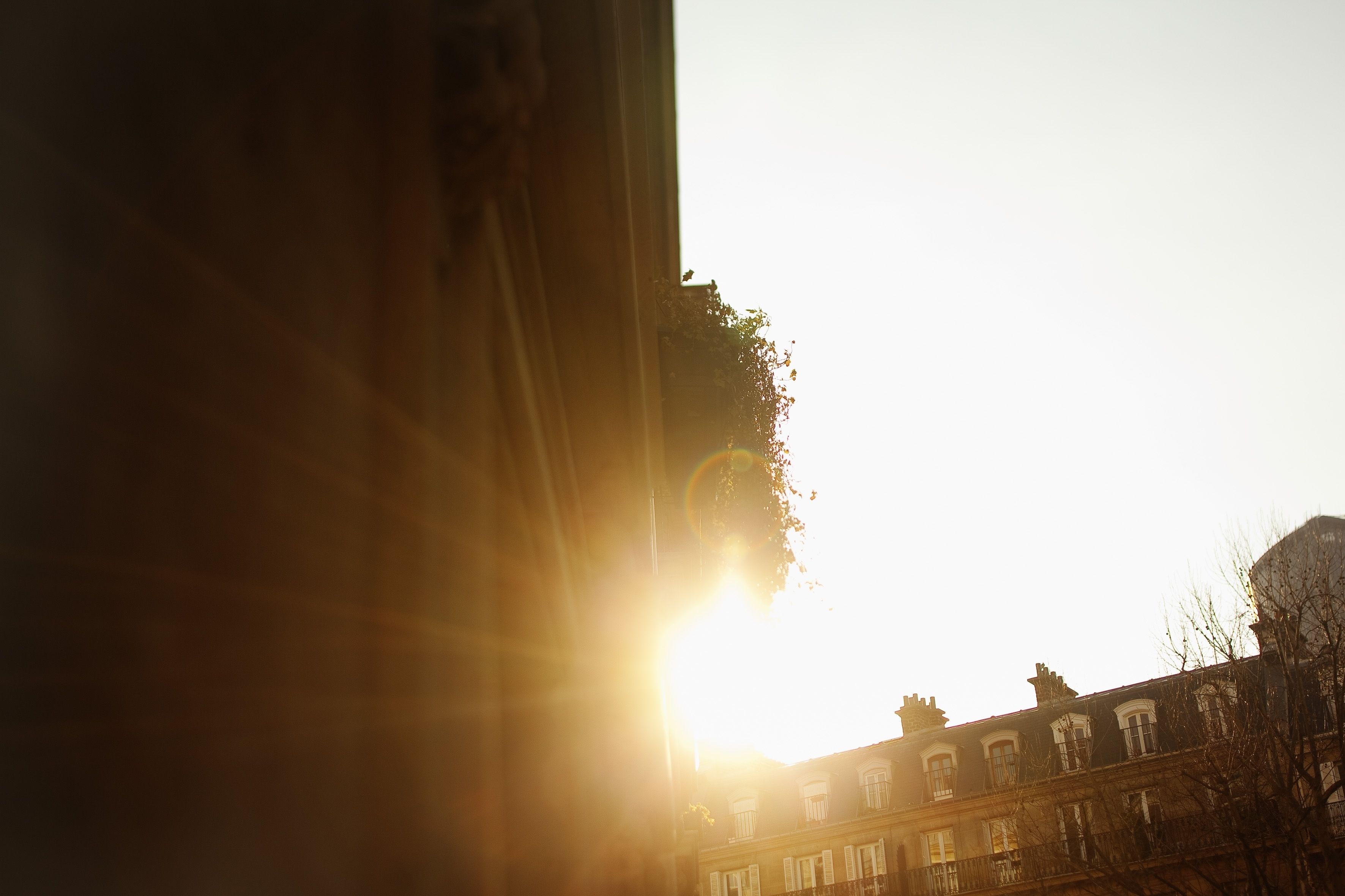 1 bedroom, premium bedding, pillow-top beds, minibar