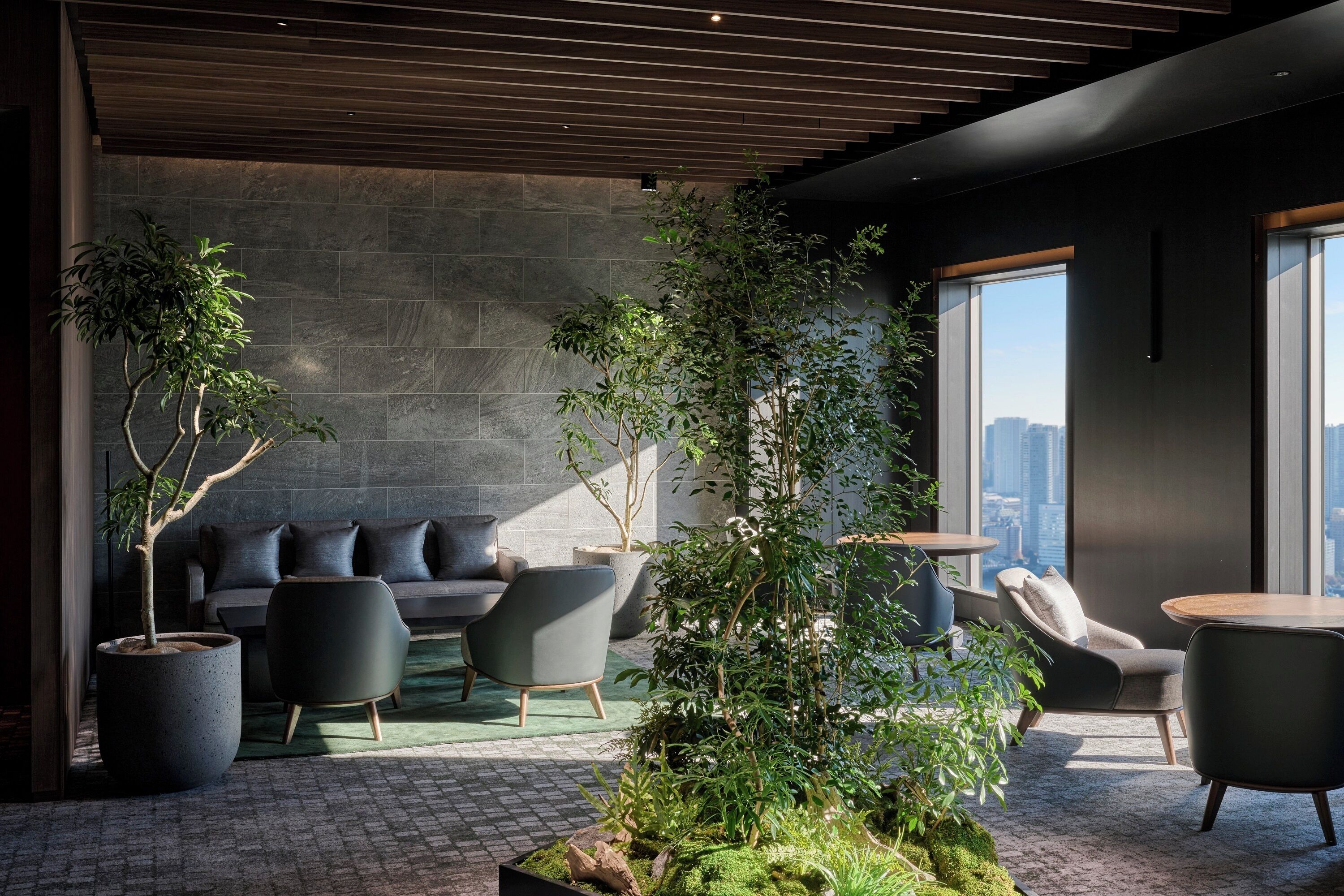 A modern lounge area with a sofa, chairs, and potted plants.