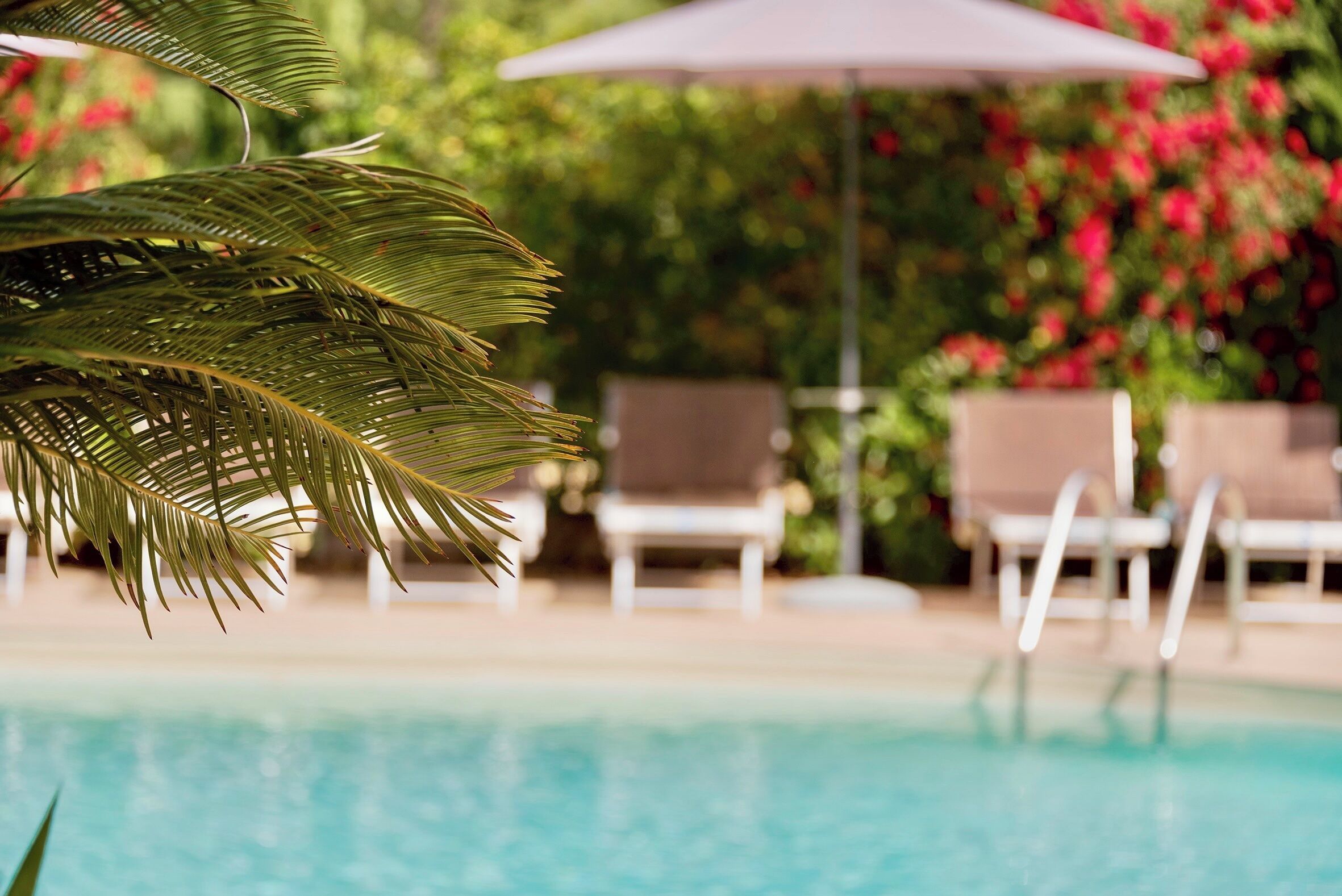 Piscina externa, piscina no terraço, espreguiçadeiras