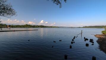 Un lago tranquilo con un muelle que se adentra en el agua, rodeado de árboles y un edificio a lo lejos.