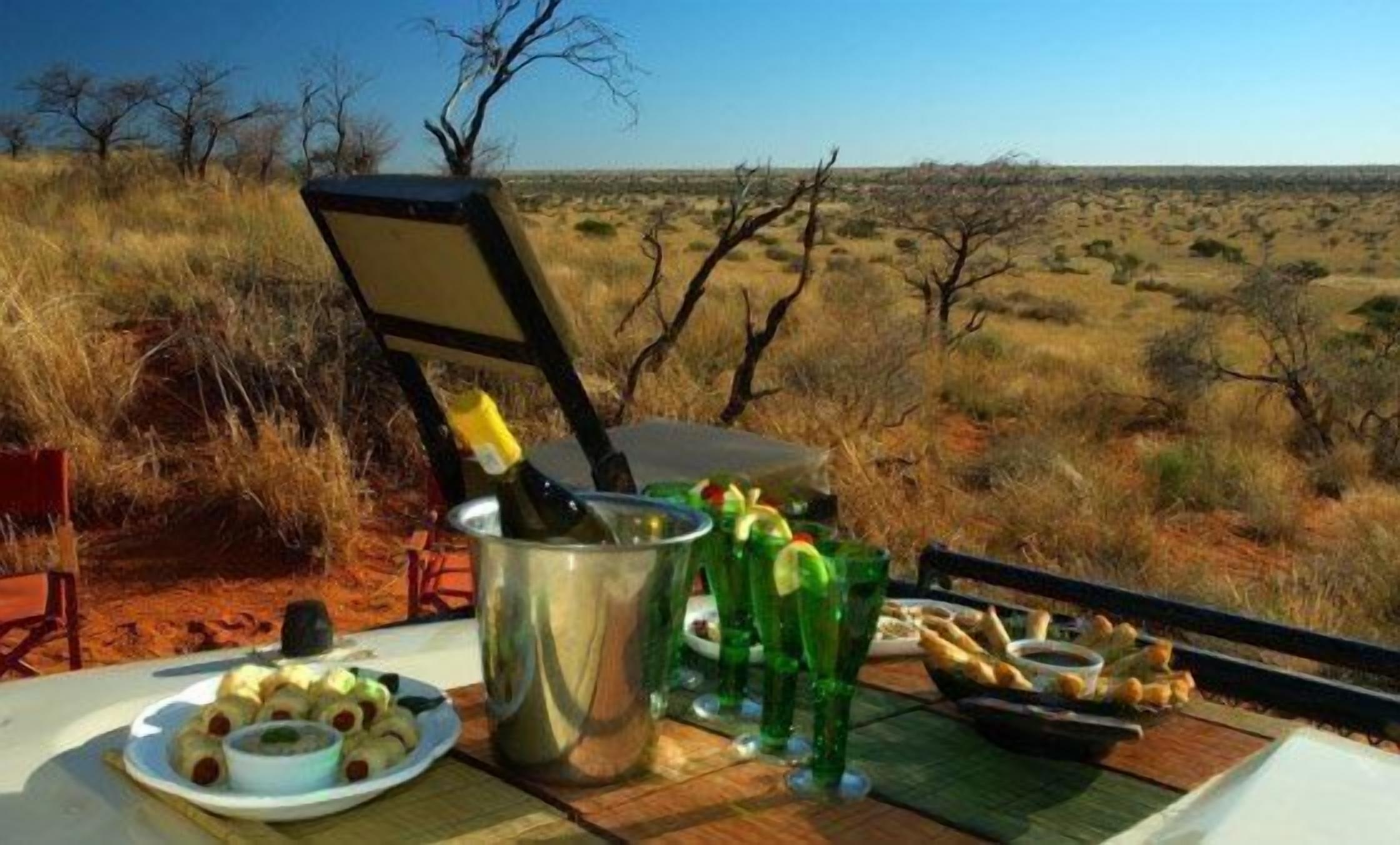 A dining setup with a view of a savannah landscape.