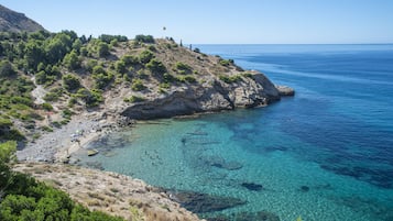 Nära stranden och gratis transport till/från stranden