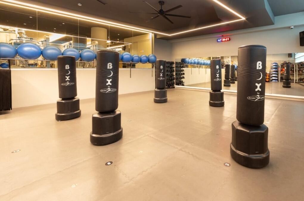 A gym with punching bags labeled "BOX" and exercise balls in the background.