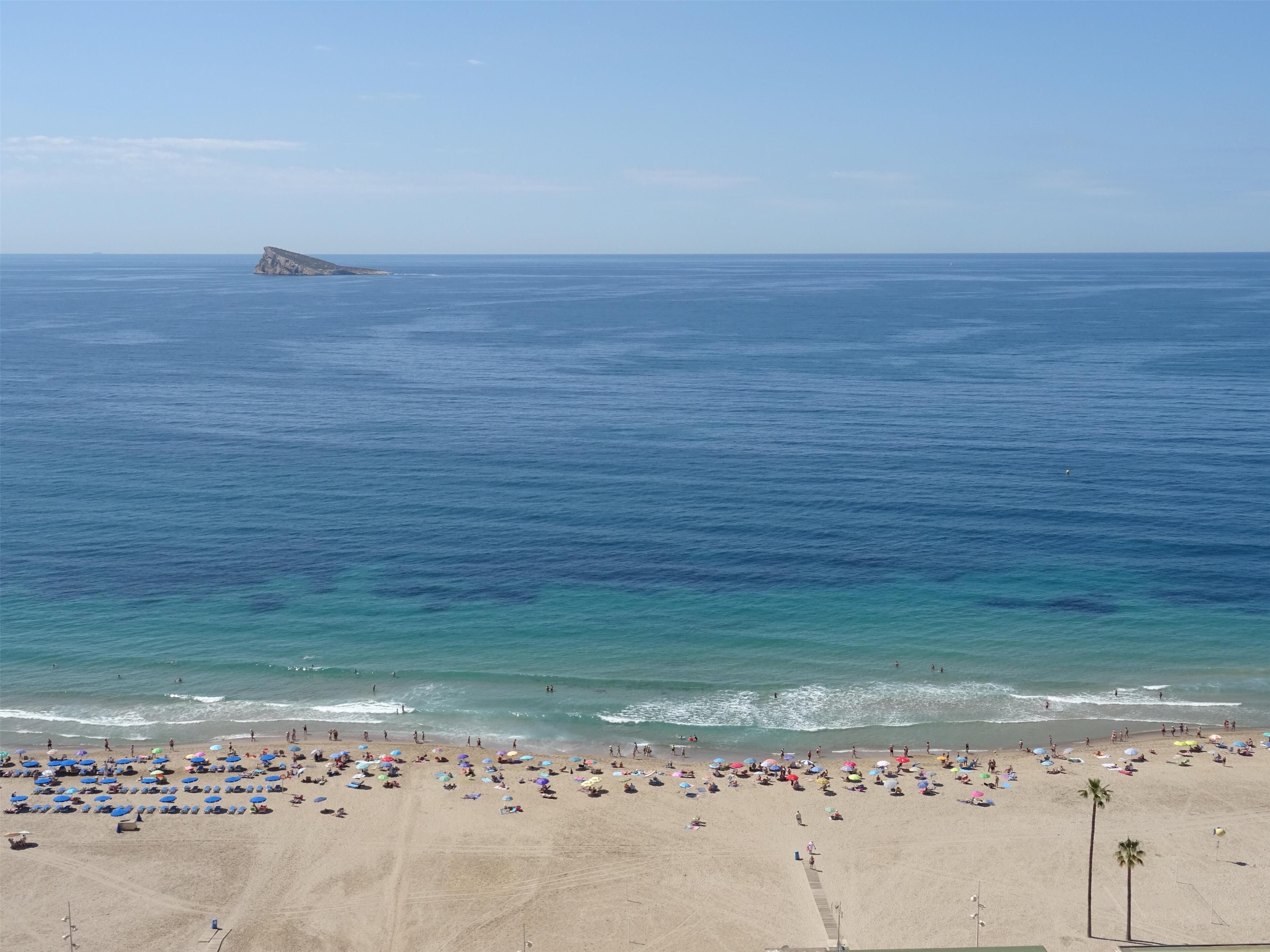A beach with numerous umbrellas and people.