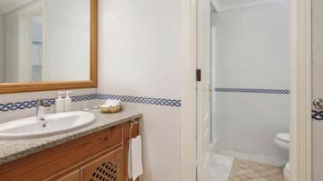 Une salle de bain avec un lavabo, un miroir et un espace douche.