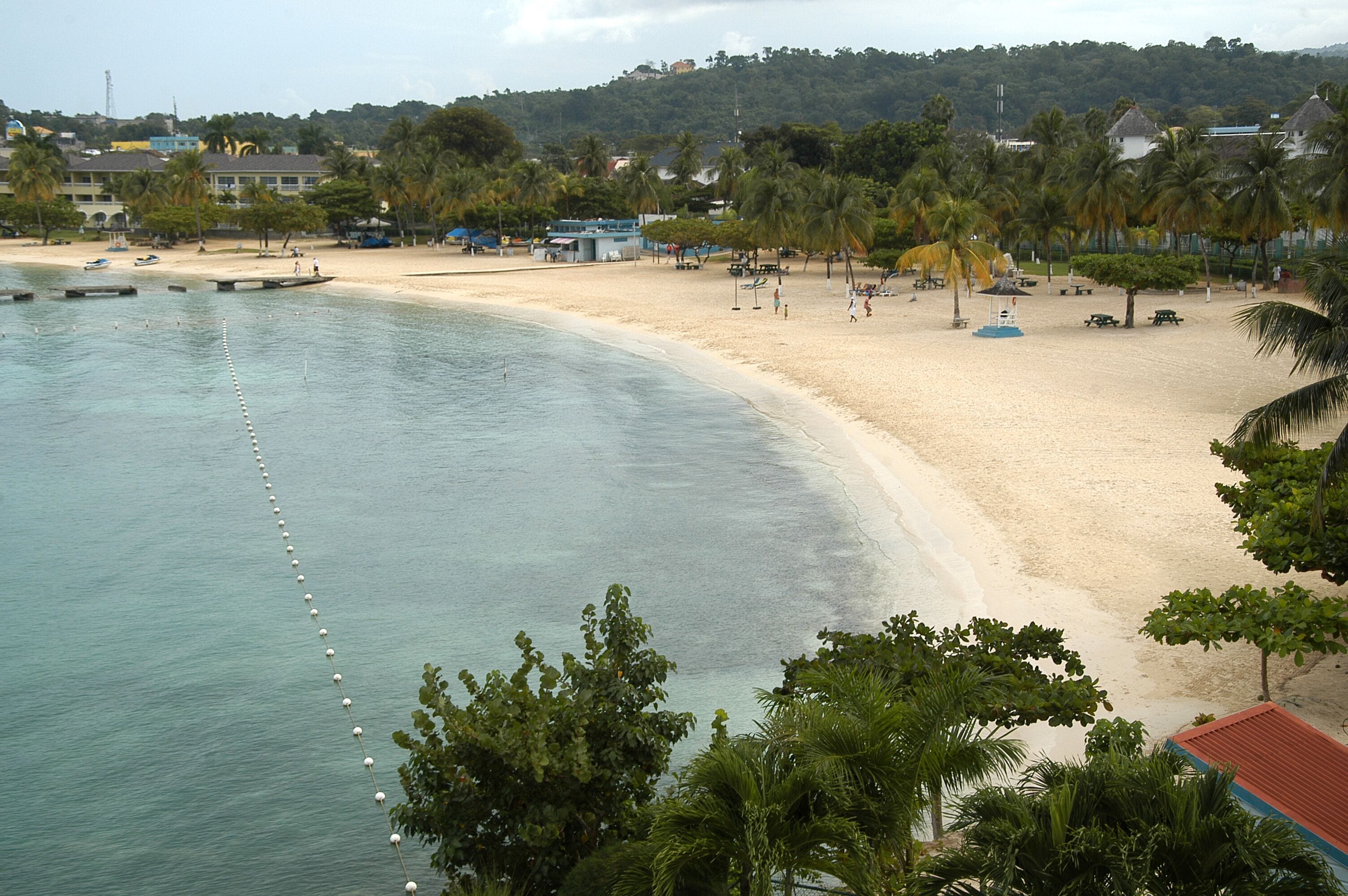 A beach with clear water, palm trees, and a sandy shore.