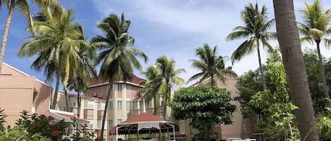 Outdoor pool, pool umbrellas