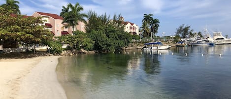 A beach with clear water, a sandy shore, and a marina with boats.