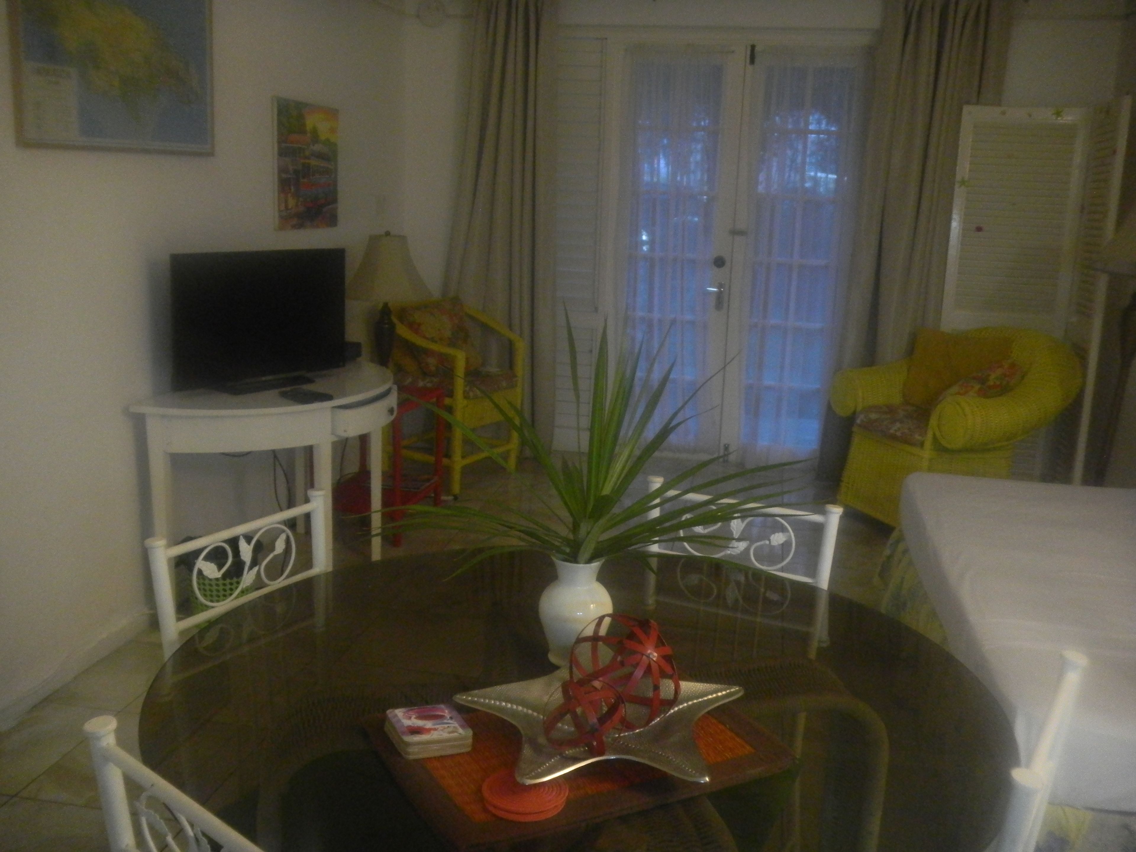 A dining area with a round table, chairs, a potted plant, and a television on a small table.