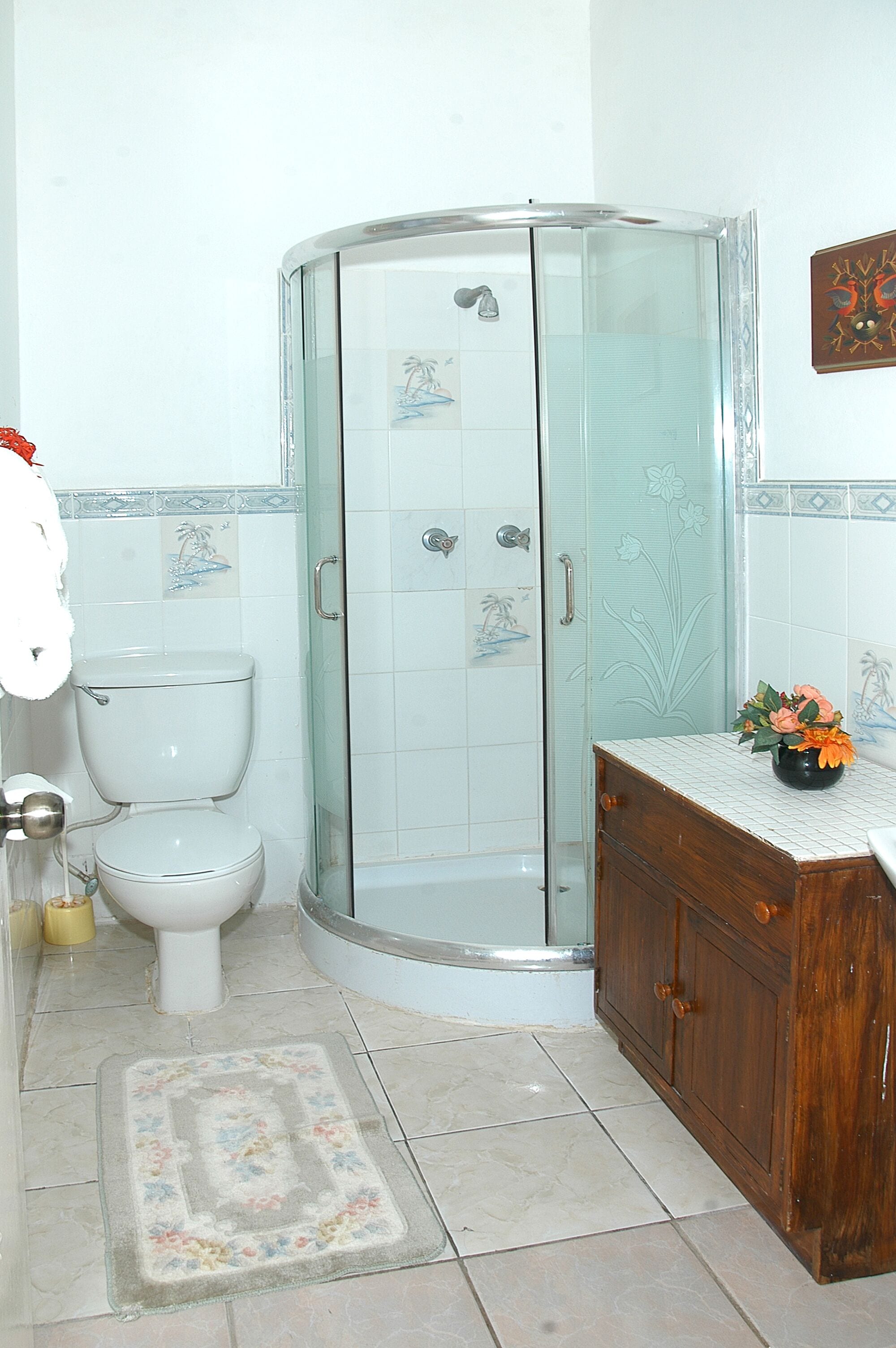 Een badkamer met een glazen douchecabine, een toilet, een houten kastje en een decoratief vloerkleed.