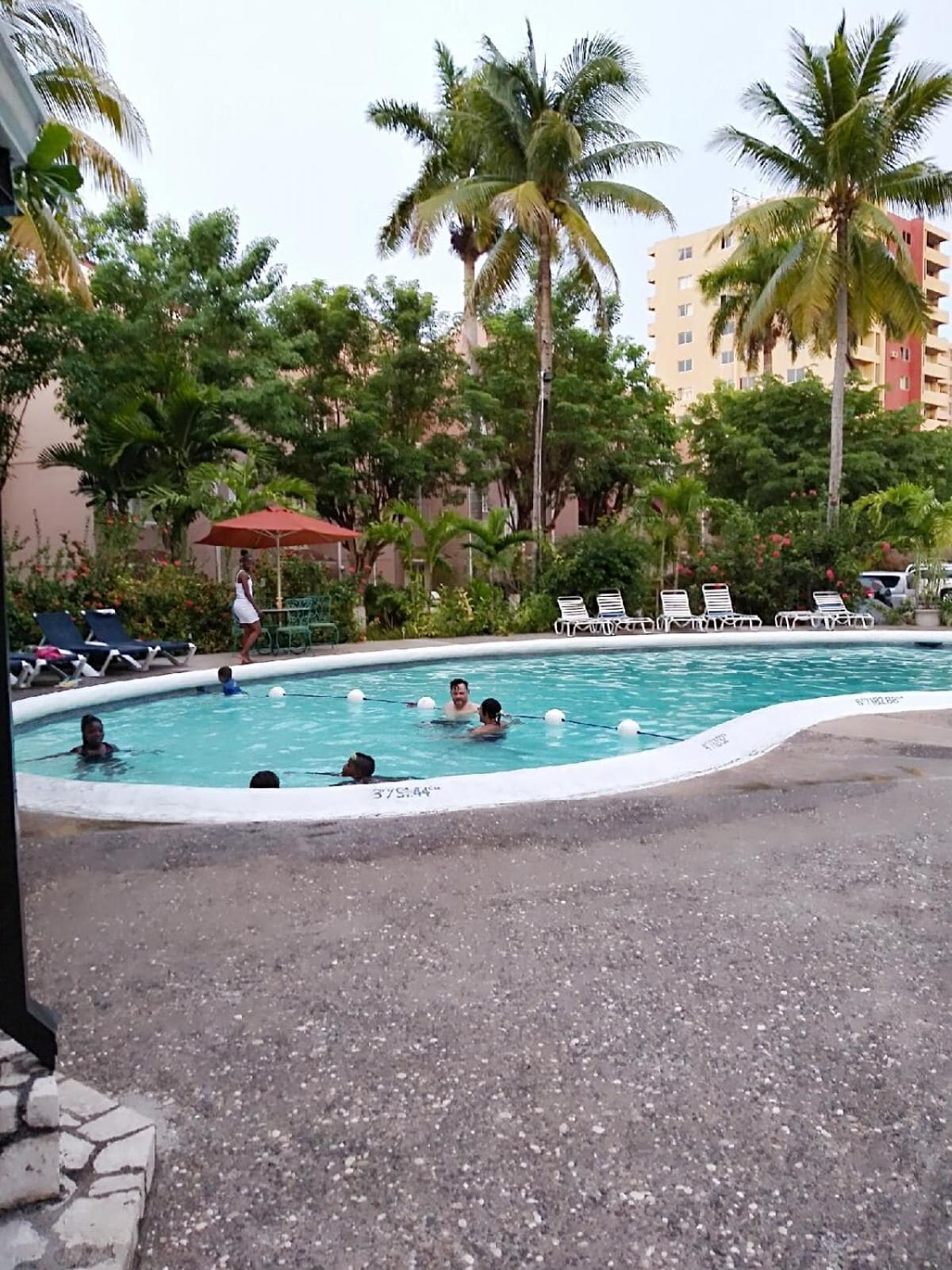 A swimming pool surrounded by palm trees and lounge chairs.