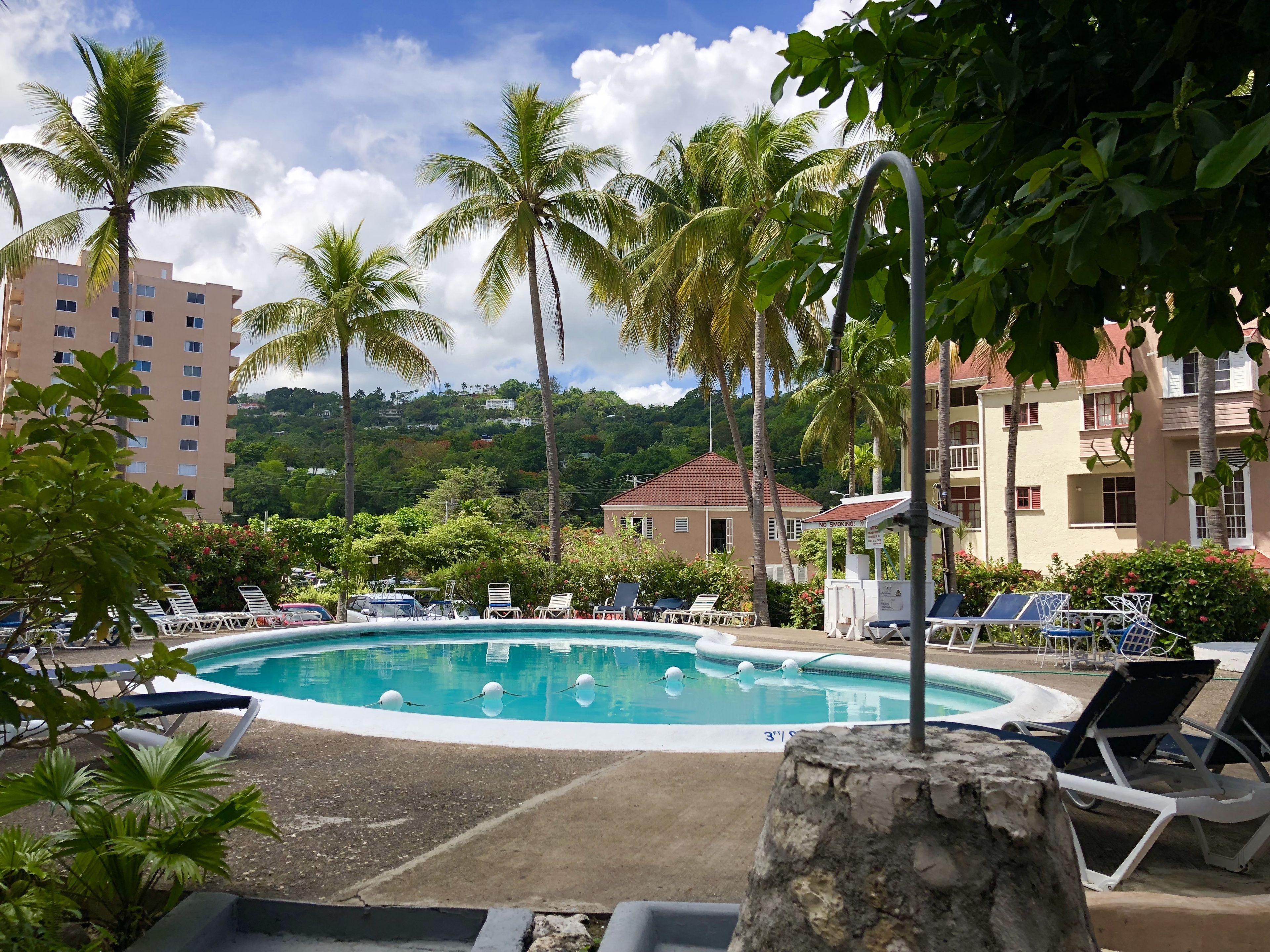 A pool area with lounge chairs, palm trees, and a building in the background.