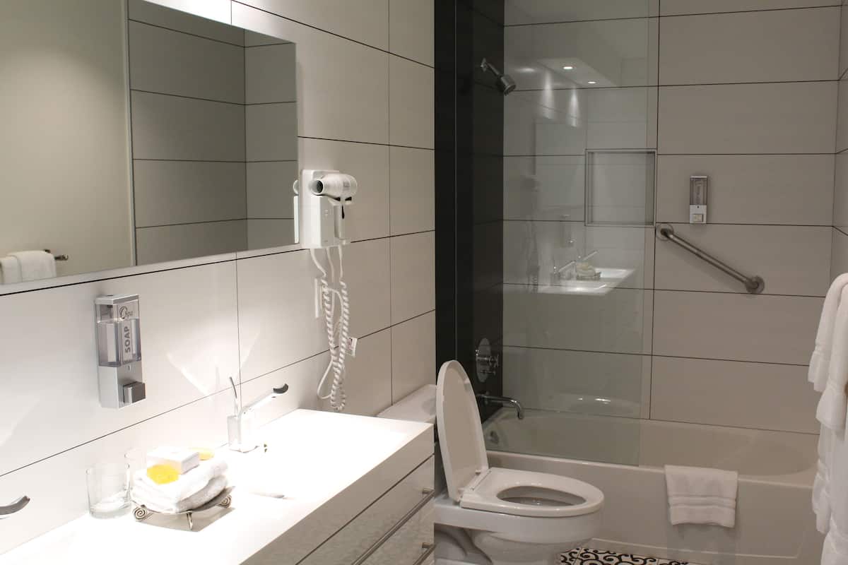 combined shower/bathtub, free toiletries, hair dryer, bathrobes