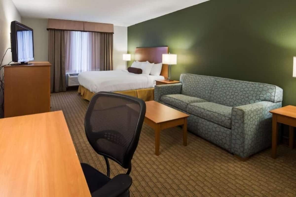 A hotel room with a bed, a sofa, a desk, a chair, and a television.