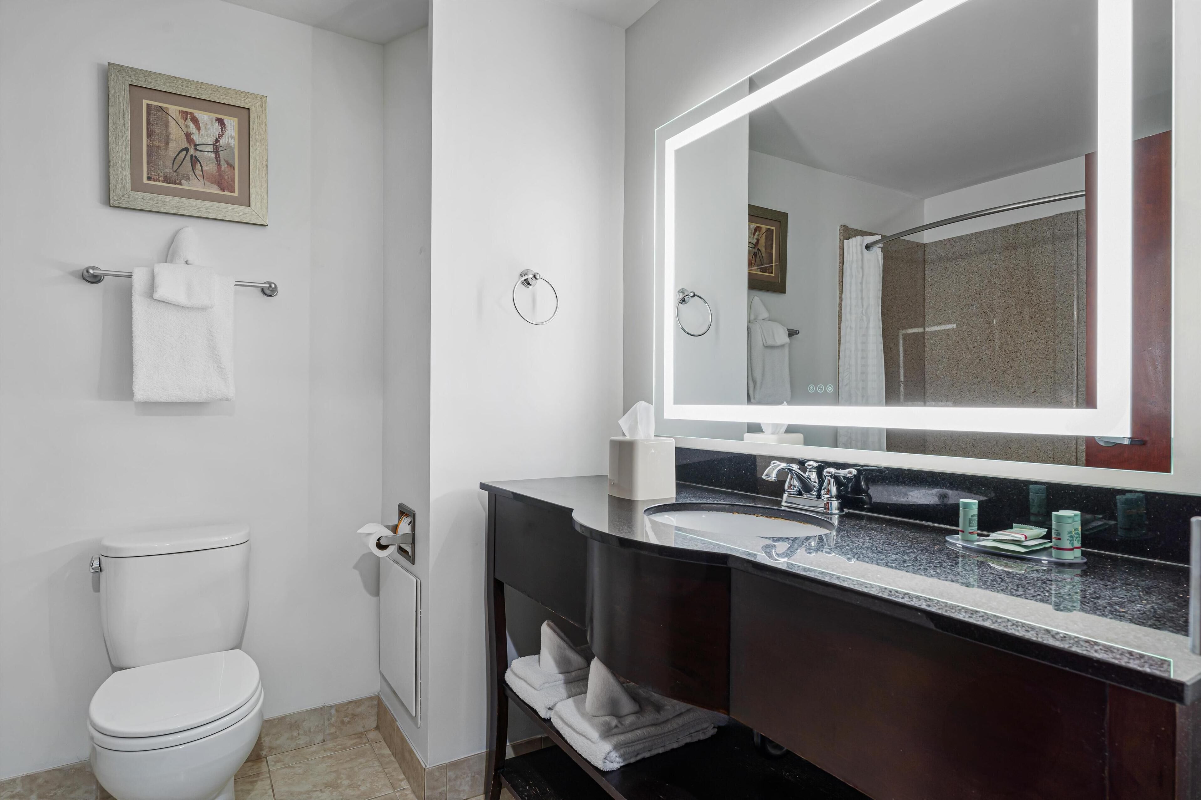 A modern bathroom with a white toilet, a dark vanity with a large mirror, and a framed picture on the wall.