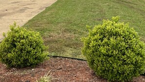 A Bestway Inn with a covered parking area, a brick building, and a grassy lawn with small bushes. - Bestway Inn (Kaufman)