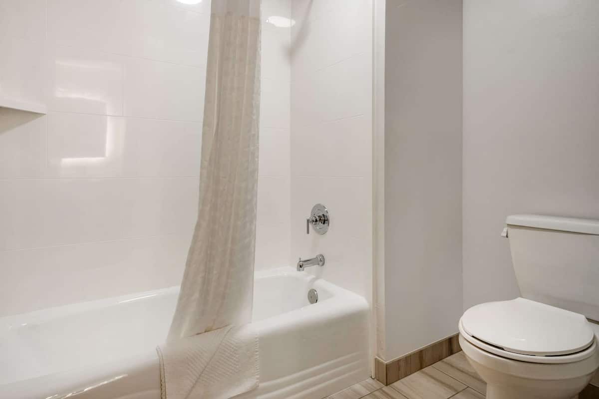 suite, 1 king bed with sofa bed, non smoking (efficiency, upgrade) | desk, blackout curtains, soundproofing, iron/ironing board