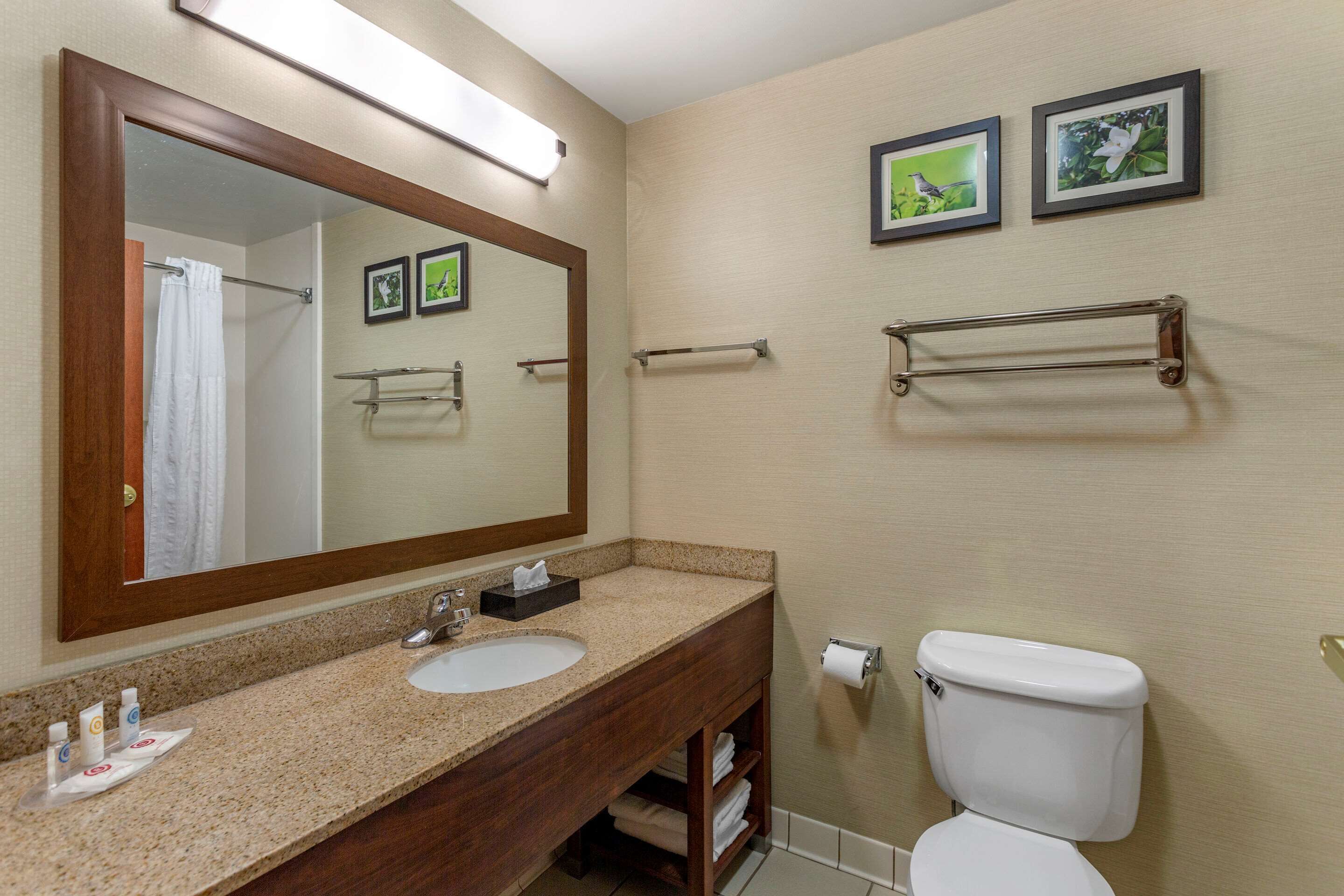 free toiletries, hair dryer, towels, soap