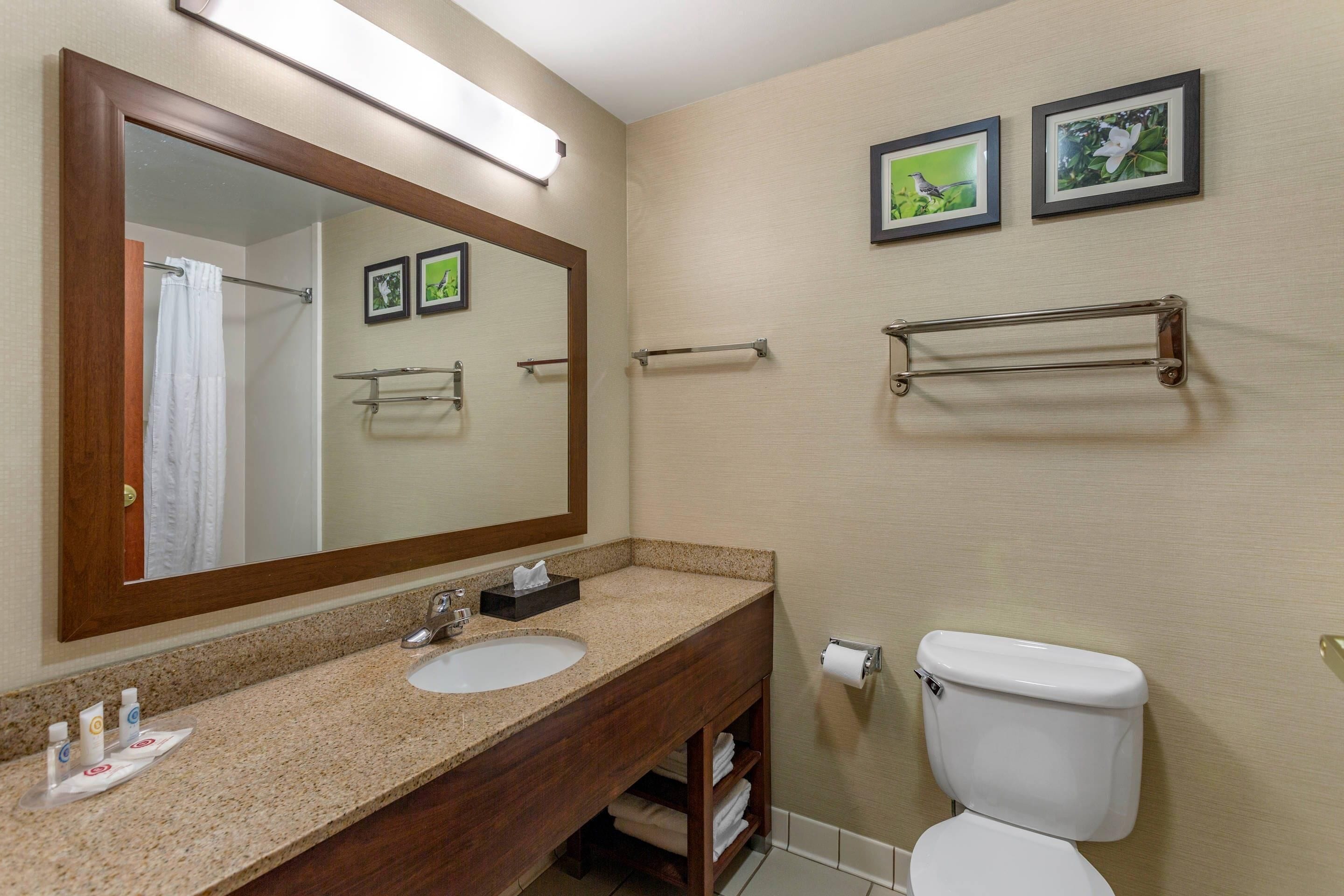 A bathroom with a sink, mirror, toilet, towel racks, and framed pictures on the wall.