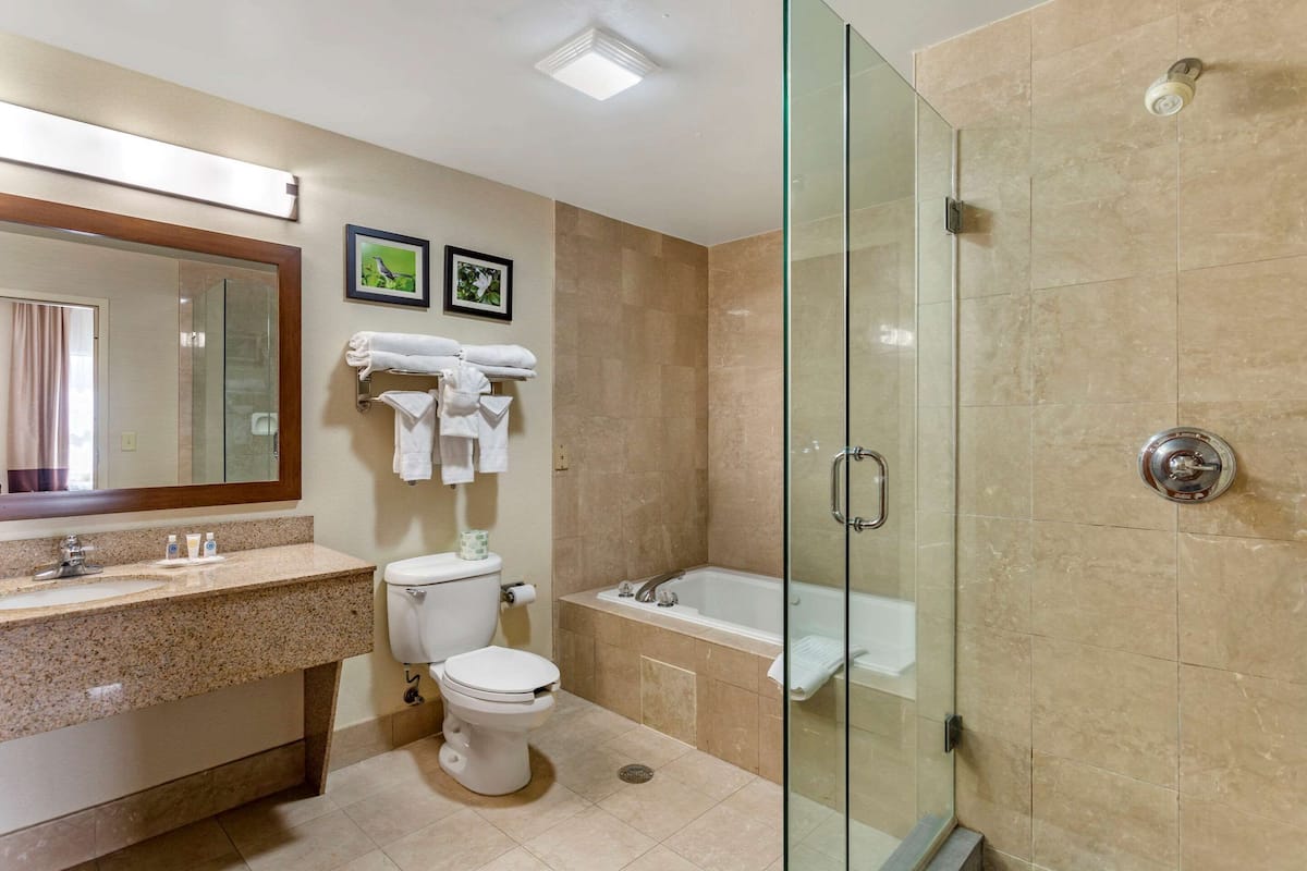 free toiletries, hair dryer, towels, soap