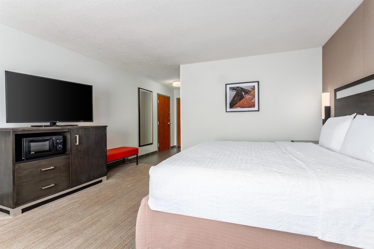 Room, 1 King Bed, Accessible, Non Smoking