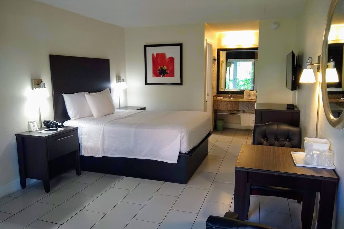 Chambre Standard, 1 grand lit, non-fumeurs | Rideaux occultants, fer et planche à repasser, Wi-Fi gratuit
