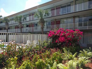 Jardín