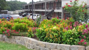 A hotel with a stone retaining wall and a variety of colorful flowers in front. - Red Carpet Inn (Augusta)