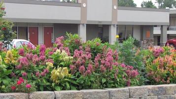 Jardín