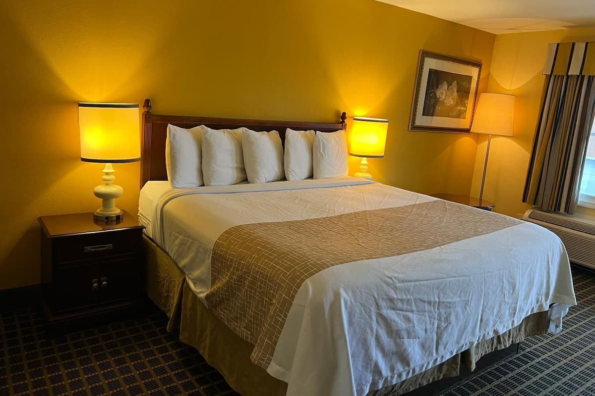 Deluxe Room, 1 King Bed | Desk, blackout drapes, iron/ironing board, free WiFi