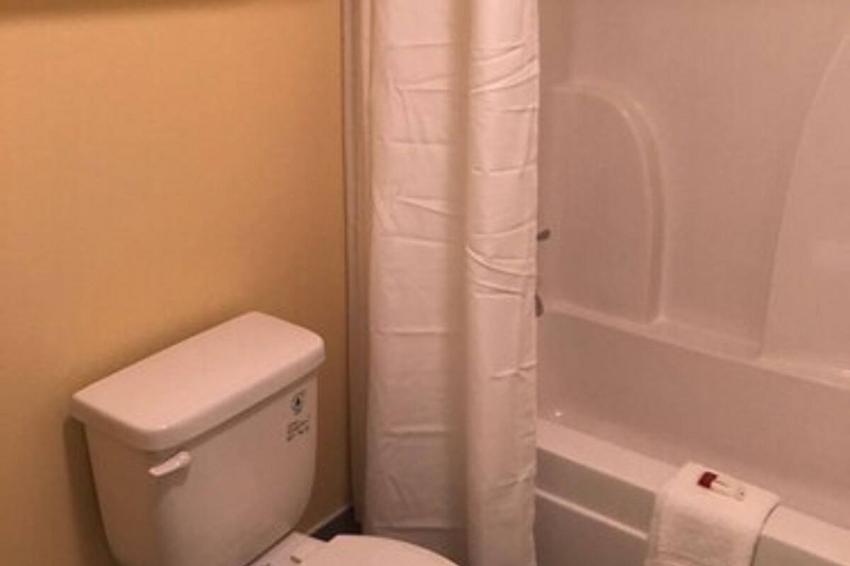 studio suite, 1 king bed, non smoking | bathroom | shower, free toiletries, hair dryer, towels