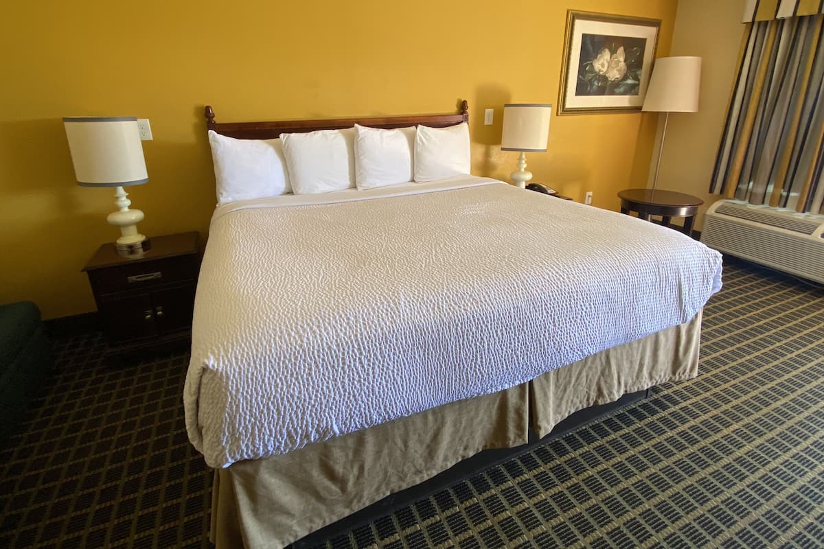 Deluxe Room, 1 King Bed | Desk, blackout drapes, iron/ironing board, free WiFi