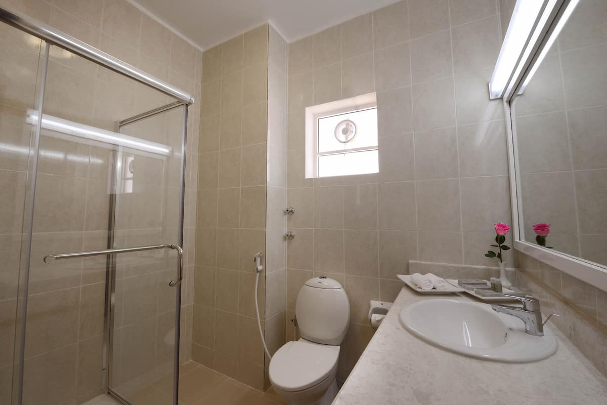 Combined shower/tub, free toiletries, hair dryer, towels