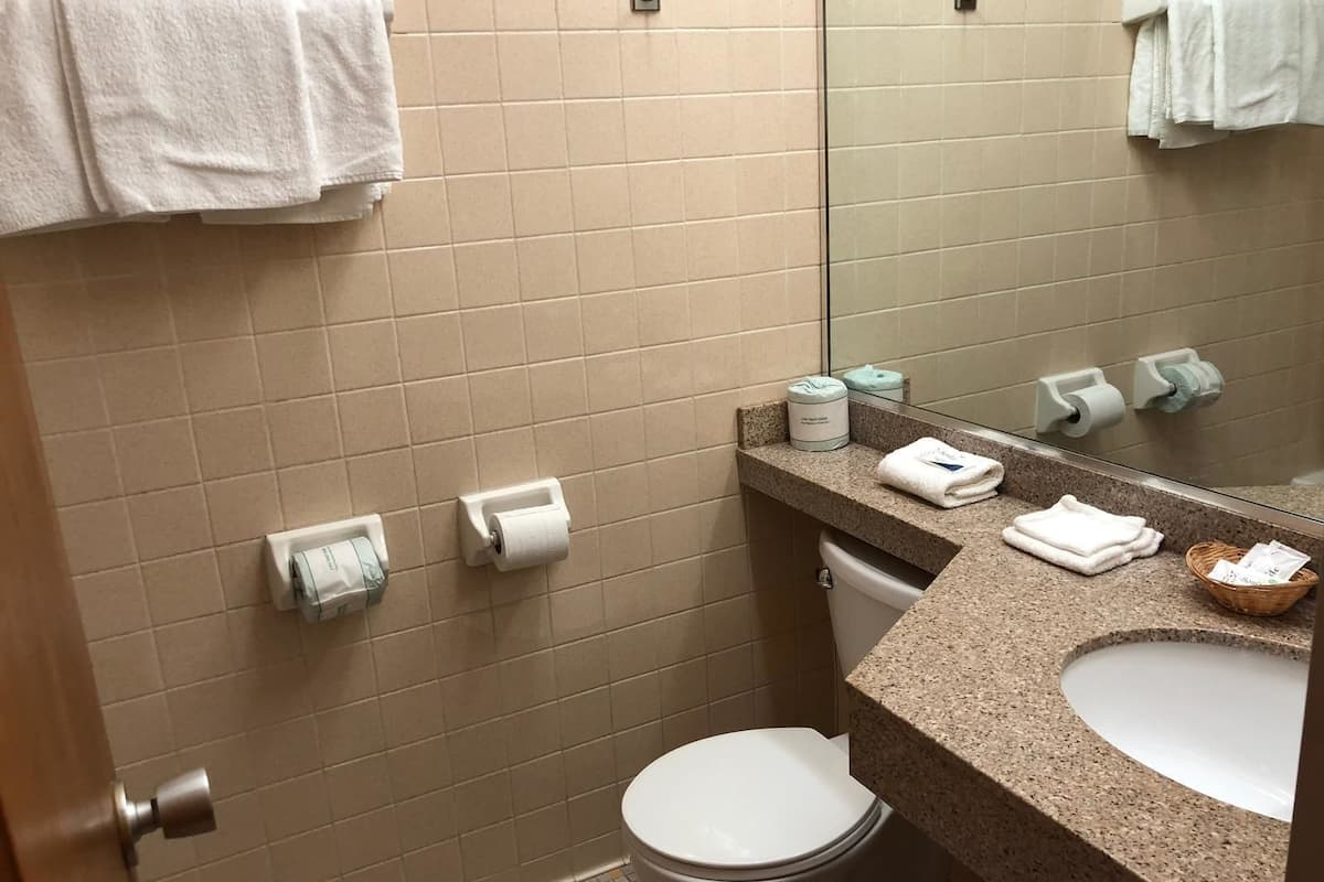 standard room, 1 king bed | bathroom | hair dryer, towels