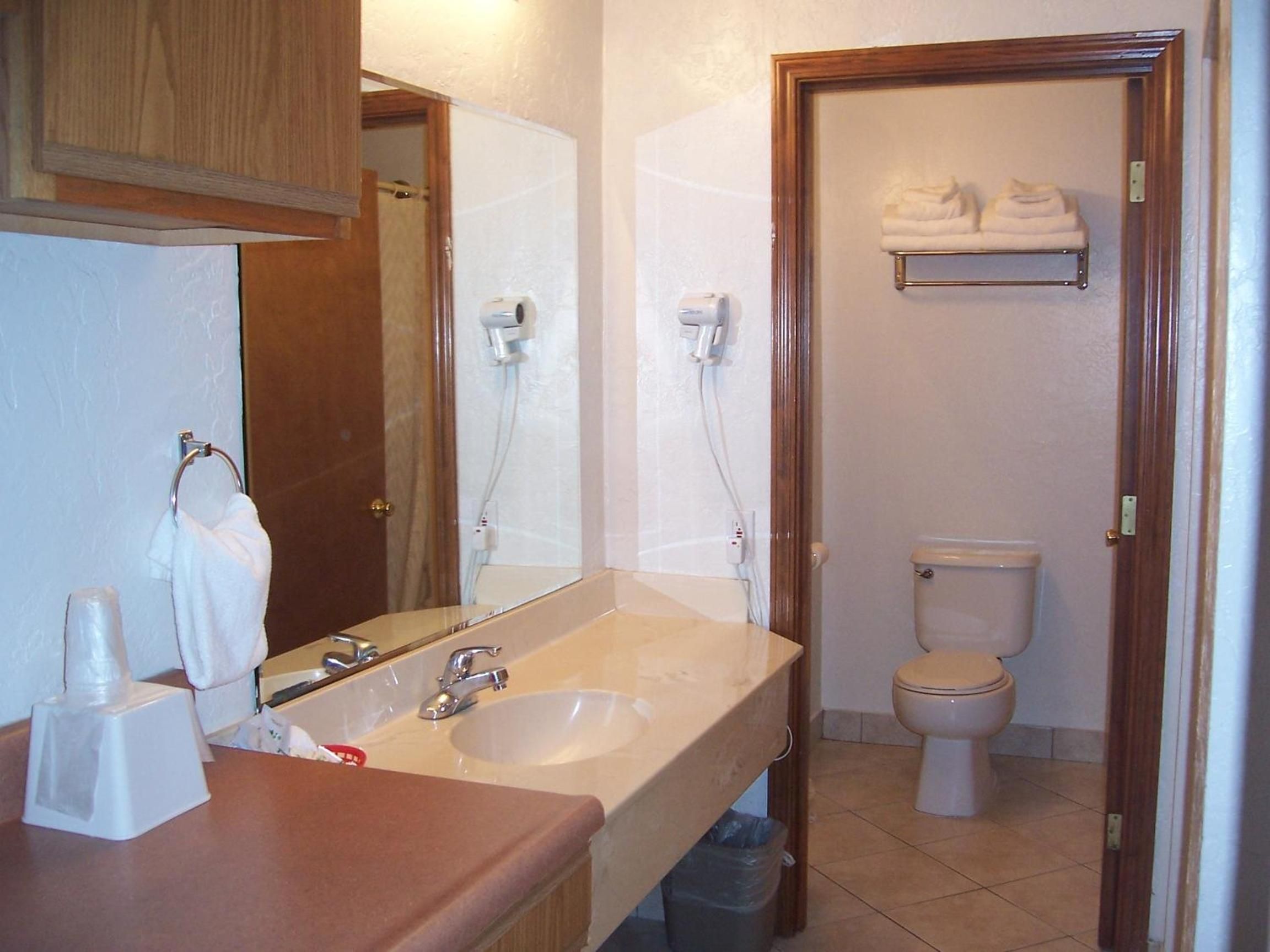 A bathroom with a sink, mirror, and toilet.