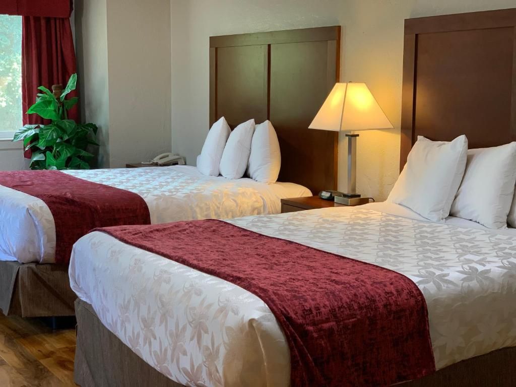 Une chambre d’hôtel avec deux lits, chacun recouvert d’une couverture rouge, une lampe de chevet et un téléphone sur la table de chevet.