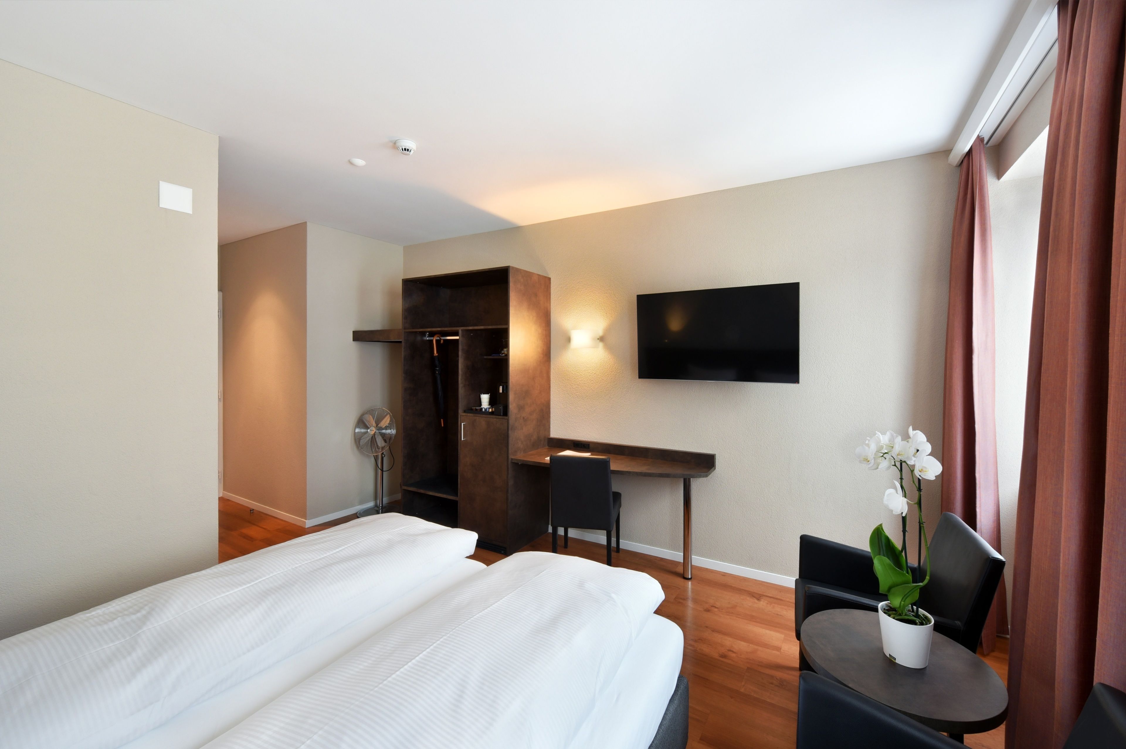 Habitació d'hotel amb llit, escriptori, cadira, televisió i una planta en test.