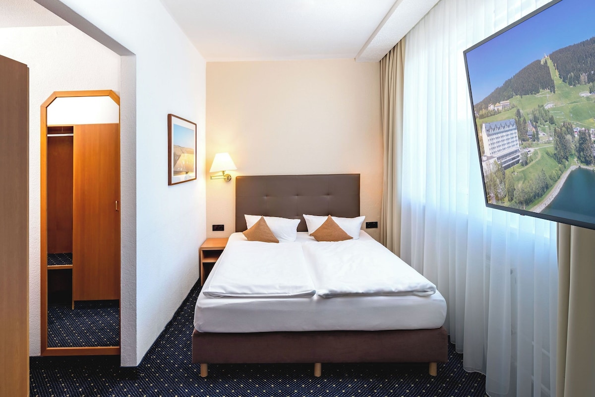 A hotel room with a large bed, a nightstand, a lamp, a painting, a closet, and a view of a mountain and lake.