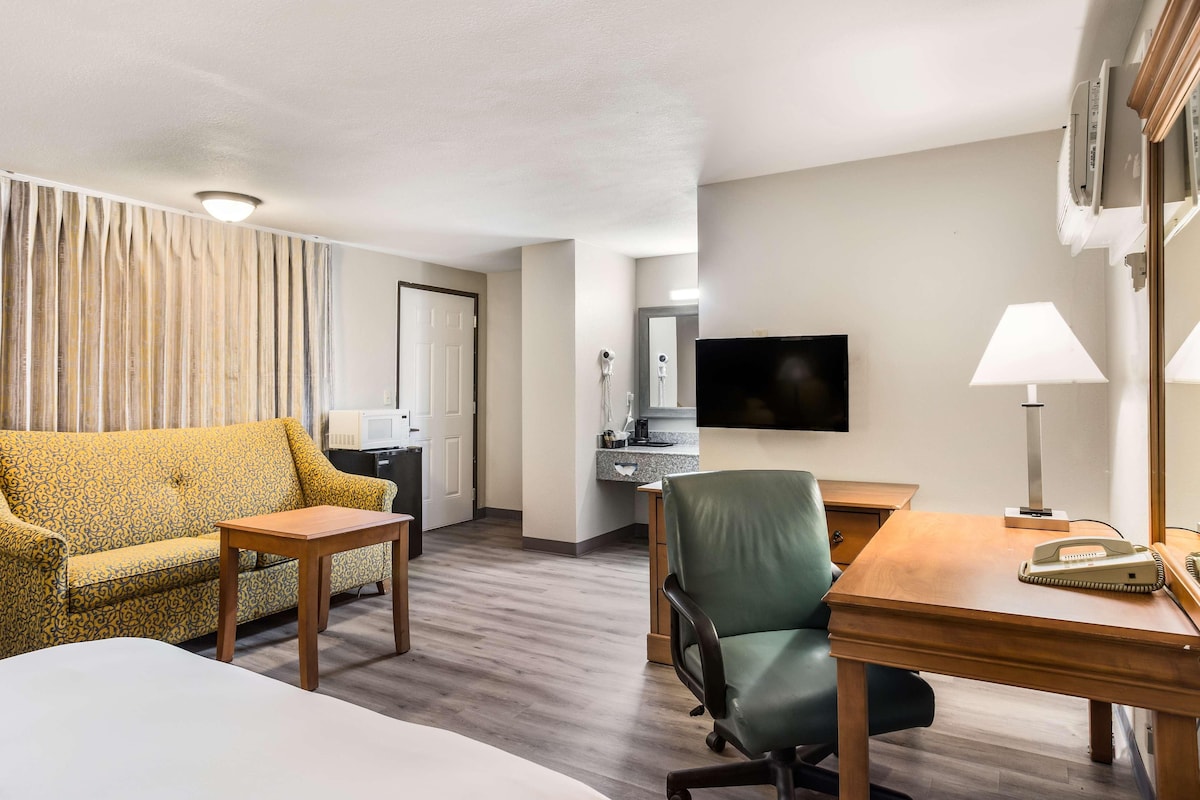 Habitación de hotel con cama, sofá, escritorio, silla, televisor, lámpara y baño con ducha.