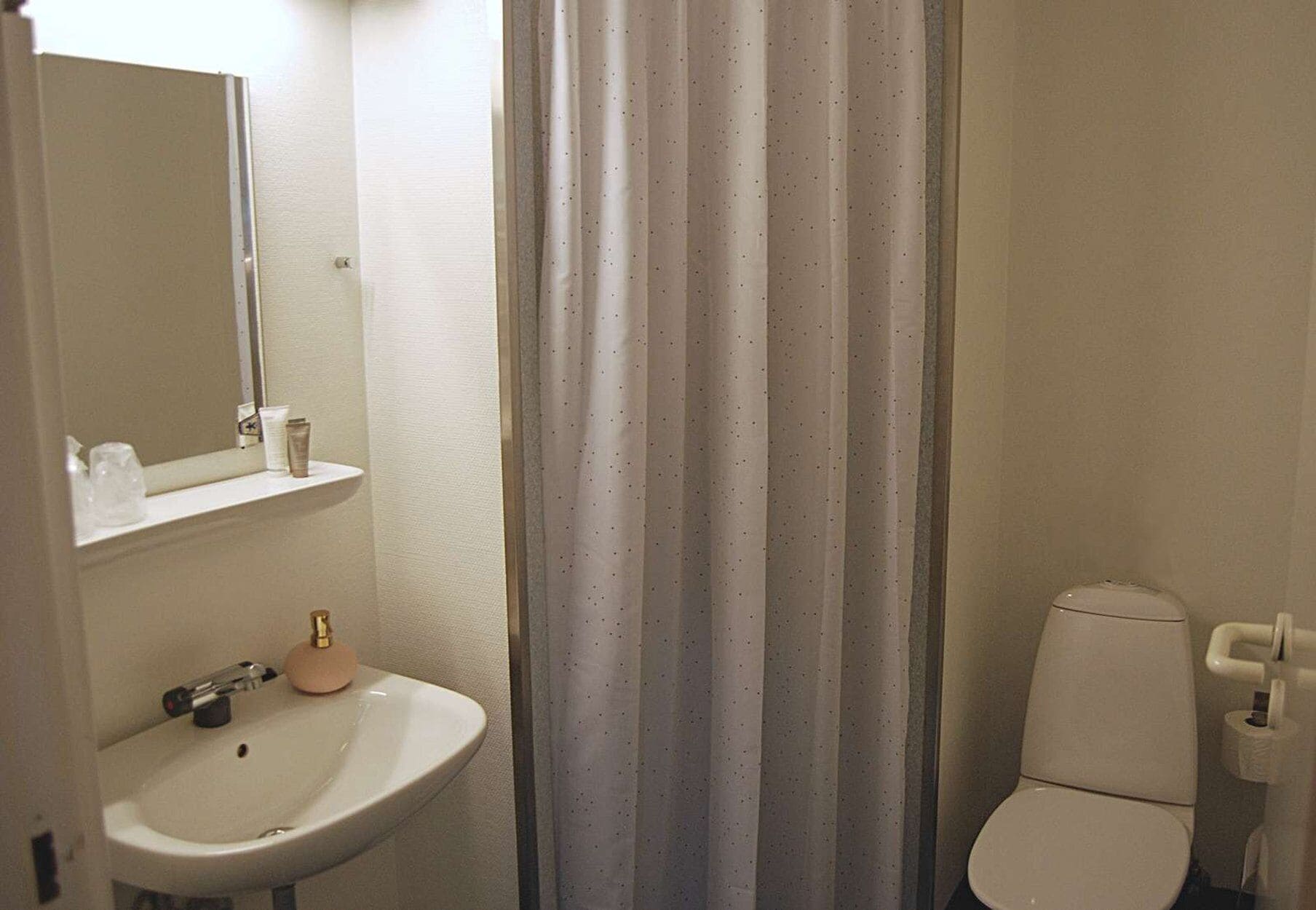 A bathroom with a sink, mirror, toilet, and a shower curtain.