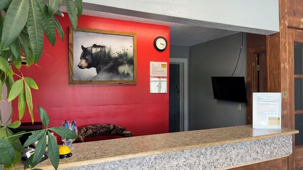 Uma mesa de recepção com um relógio, um quadro com um urso e uma placa na parede.