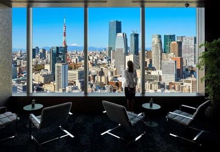 Park Hotel Tokyo - Image 24