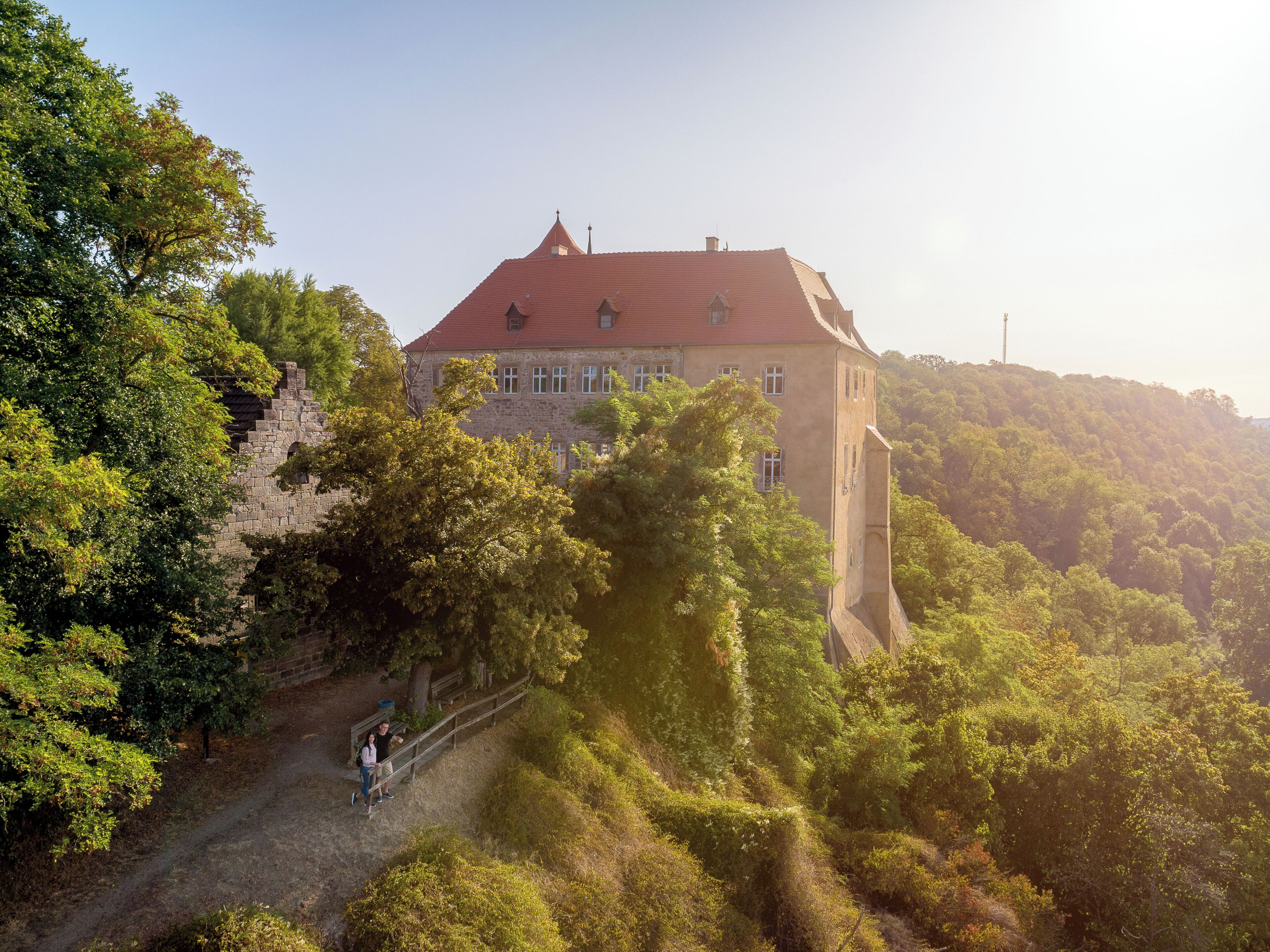A castle with a red roof, surrounded by dense forest and a stone wall.
