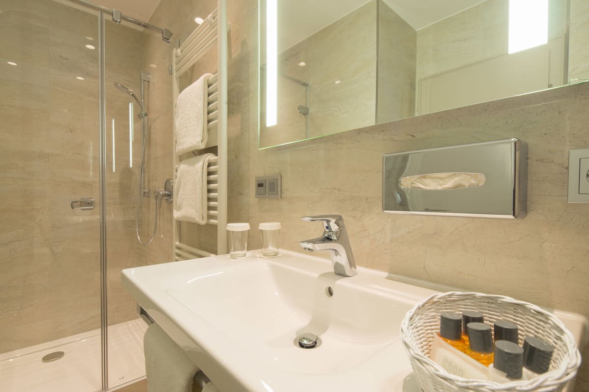 shower, free toiletries, hair dryer, towels