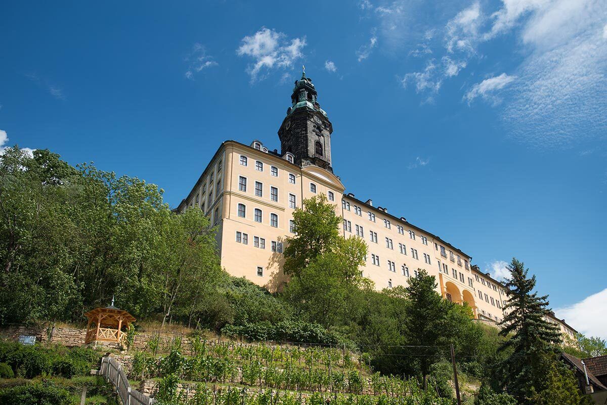 Ein großes, historisches Gebäude mit einem markanten Turm, umgeben von üppigem Grün und blauem Himmel.