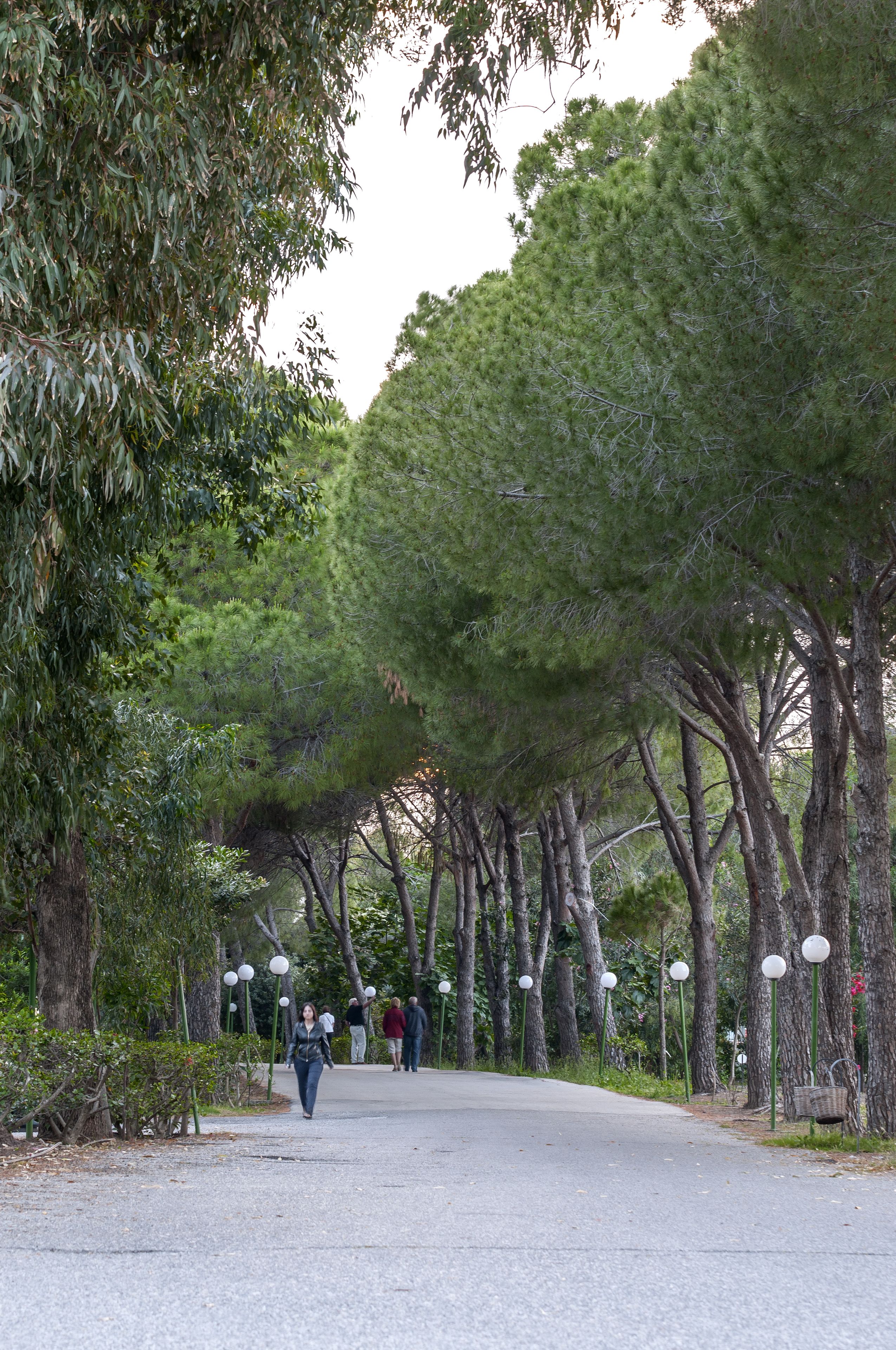 Photo - Apollo Beach