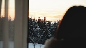 A silhouette of a person looking out a window at a snowy landscape with trees.