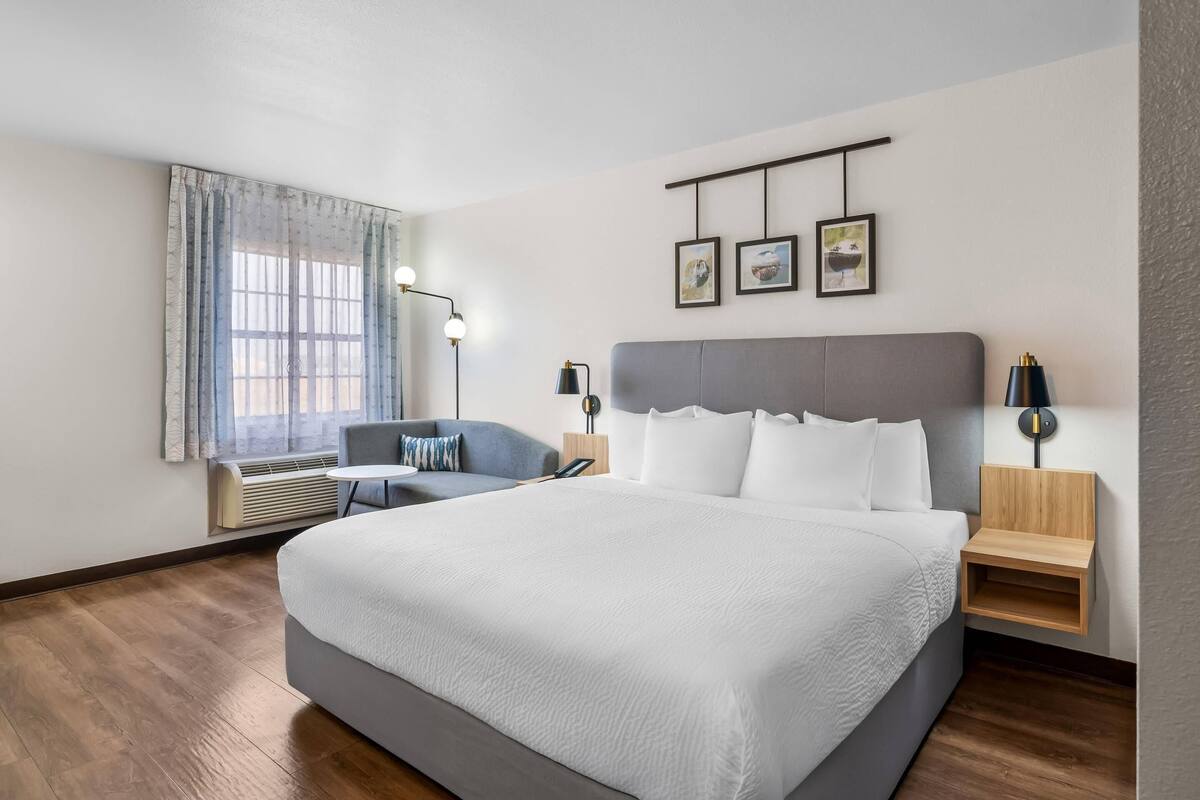 Standaard kamer, rolstoeltoegankelijke douche, niet-roken | Luxe beddengoed, pillowtop-bedden, een bureau